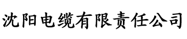 大香蕉成一人在线电缆厂logo